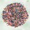 8/0 Glass Seed Beads Kit, 3mm Metal Color Waist Beads, 24Colors Small Pony Beads with String for Bracelet Necklace Earring Jewelry Making (14405PCS, 600 Per Color)